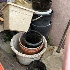 鉢