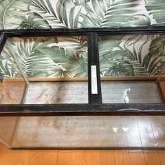 大型水槽の画像