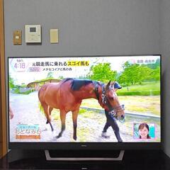 Hisense ハイセンステレビ 50u8f