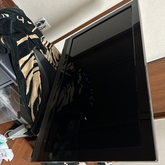 テレビ(つきません)