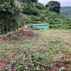 神奈川西部〜静岡伊豆 草刈りの手伝い・代行