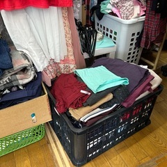 冬服❗️ 冬服と見れる服　1枚50円セール中‼️の画像