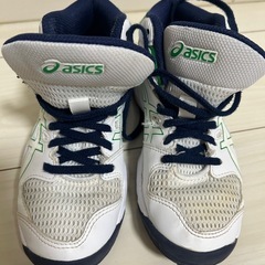バッシュ　ダンクショット　20.0