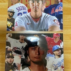 大谷翔平•ダルビッシュ2L写真の画像