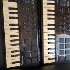 M-Audio Axiom AIR Mini 32 (x2)