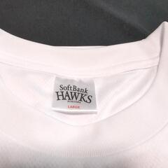 2024年サマーブーストTシャツとラリータオルのセットの画像