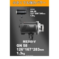 Godox MS300-Vストロボ+ライトスタンド※ライト不動