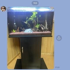 ６０センチ水槽と台セット値下げしました^_^ 流木、水草もおつけ...