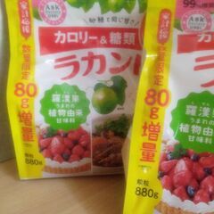サラヤ　ラカントs  800㌘+80㌘増量が2袋の画像