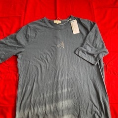 Ｔシャツ