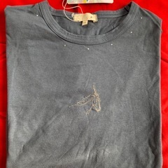 Ｔシャツの画像