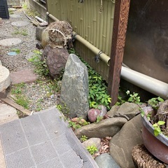 石　岩　溶岩石などの画像