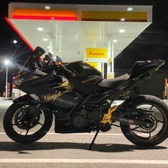 ninja400 