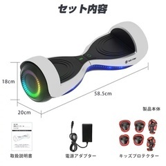 電動スクーター　ミニセグウェイ