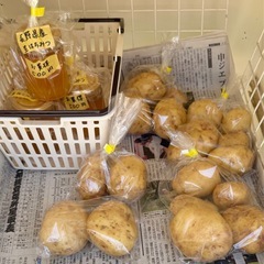 野菜の無人販売の画像