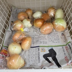 野菜の無人販売の画像