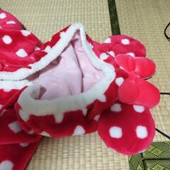 ディズニーランド　ミニー　ポンチョ　マント　防寒着の画像