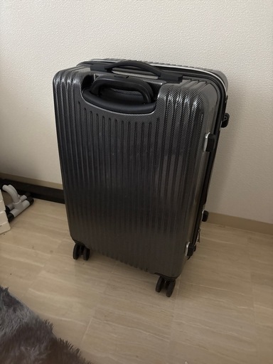その他 siffler