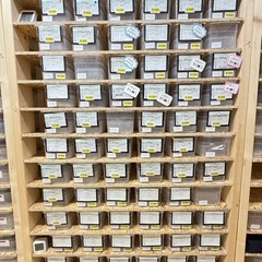 ヒョウモントカゲモドキ総勢100匹最安値¥6000〜