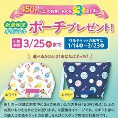 【未使用 新品 非売品 値引き】サーティワン 限定オリジナルポーチ ホワイト アイス柄／数量限定配布品　31の画像