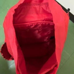 LISA リュック　しょってほしーのの画像