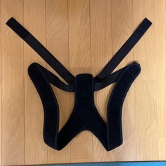 〈未使用〉猫背矯正ベルト、猫背矯正ベルト、腰痛用腰巻の画像