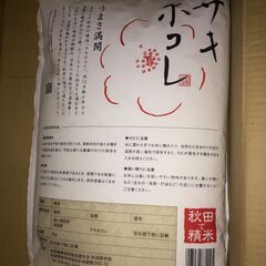 お米　５ｋｇ　　本日限定