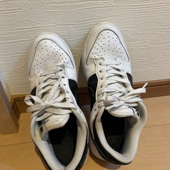　NIKEダンクロー