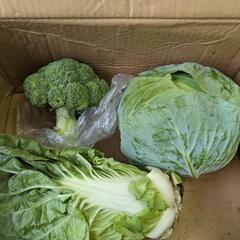 野菜3点お譲りします。