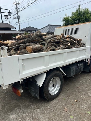 引取り限定！薪　キャンプ　柿の木　伐採材　3トンダンプ1台分