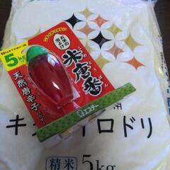 精米　キタノイロドリの画像