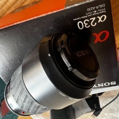 一眼カメラ　SONY α230の画像