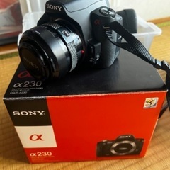 一眼カメラ　SONY α230の画像
