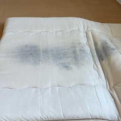 敷布団（状態不良）の画像