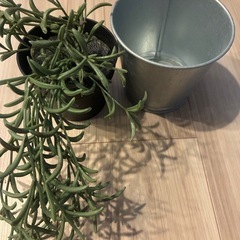 IKEAフェイクグリーンセットの画像