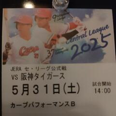 5月31日(土)広島東洋カープVS阪神タイガース カープパフォー...