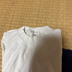 体操着ですの画像