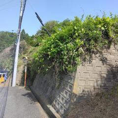 お家周りの草刈り　空き地、田んぼの畔などの草刈り致します　参考例...