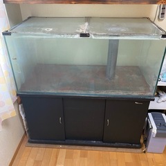 オーバーフロー水槽120×60×50 ガラス　今週中に売れなけれ...
