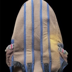 ワケあり リュックサック エスニックの画像