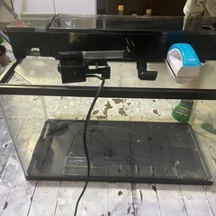 水槽セット