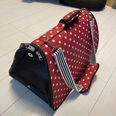 ペットキャリーバック　ペットキャリーケースの画像