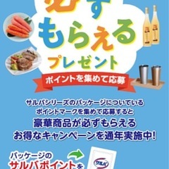 ザルバポイントの画像