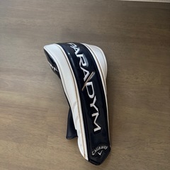 パラダイム1Wカバーの画像