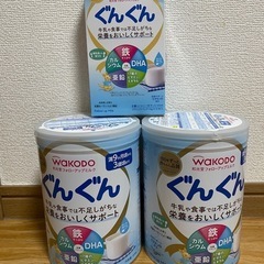 和光堂　ぐんぐん　2缶　スティック1箱