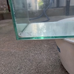 決まりました❗️ GEX スリム水槽の画像