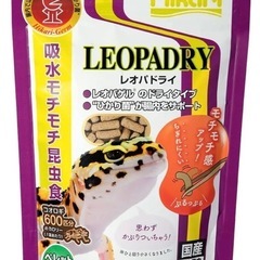 レオパドライ　レオパ　カナヘビ　爬虫類