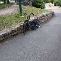 シャコタンチャリの画像