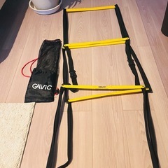【値下】GAVIC ラダーの画像
