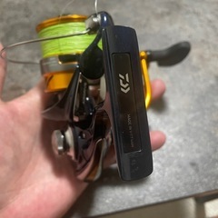 Daiwa ダイワ　レブロスLT4000-CXHの画像